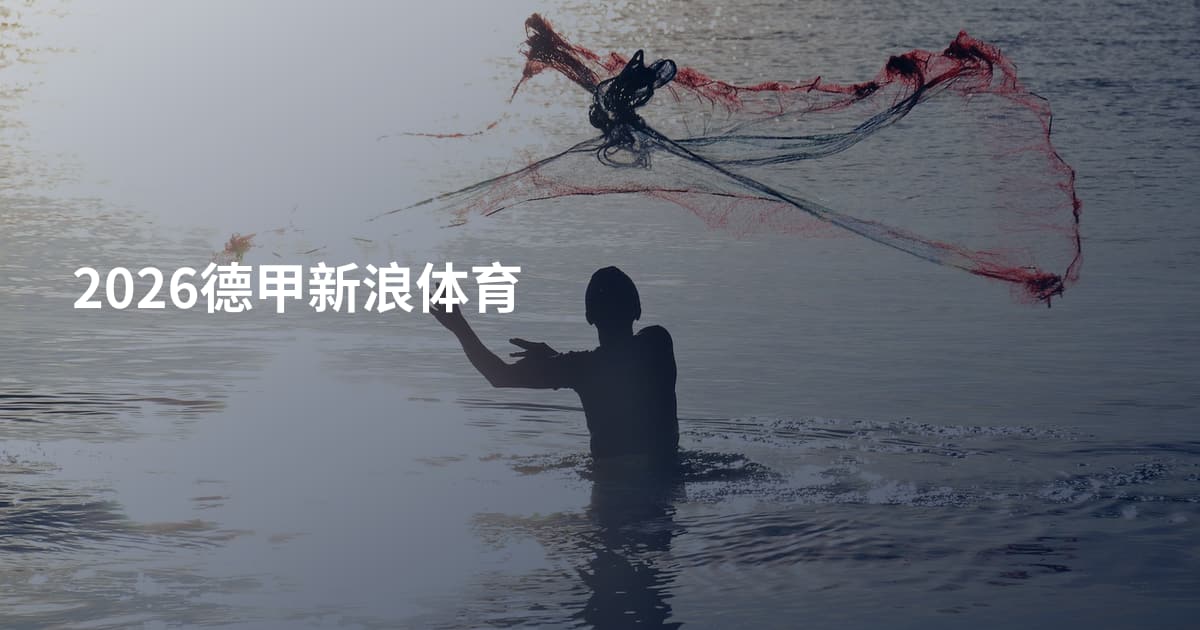2026德甲新浪体育