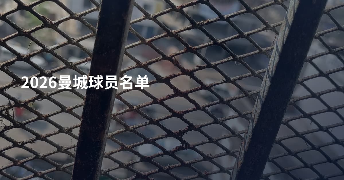 2026曼城球员名单