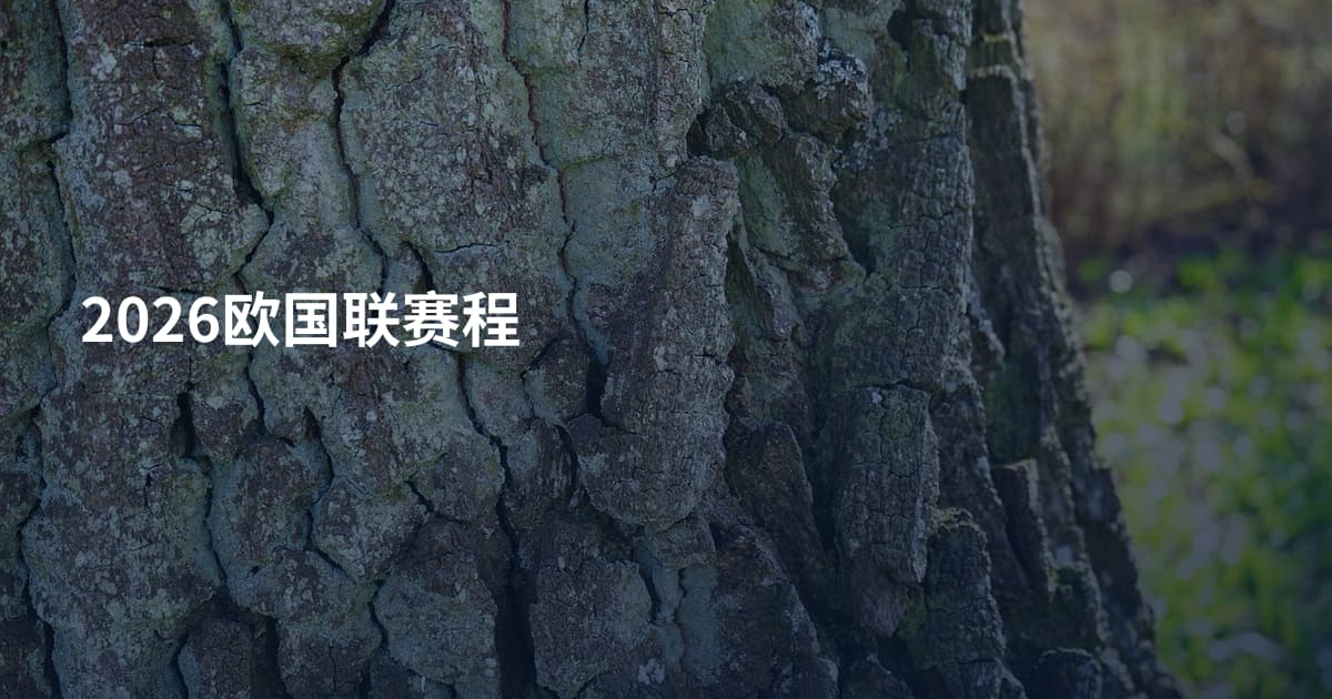 2026欧国联赛程