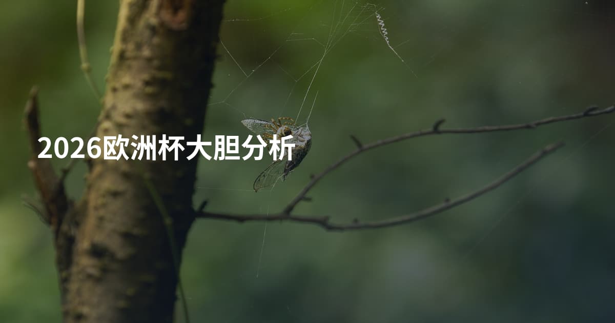 2026欧洲杯大胆分析