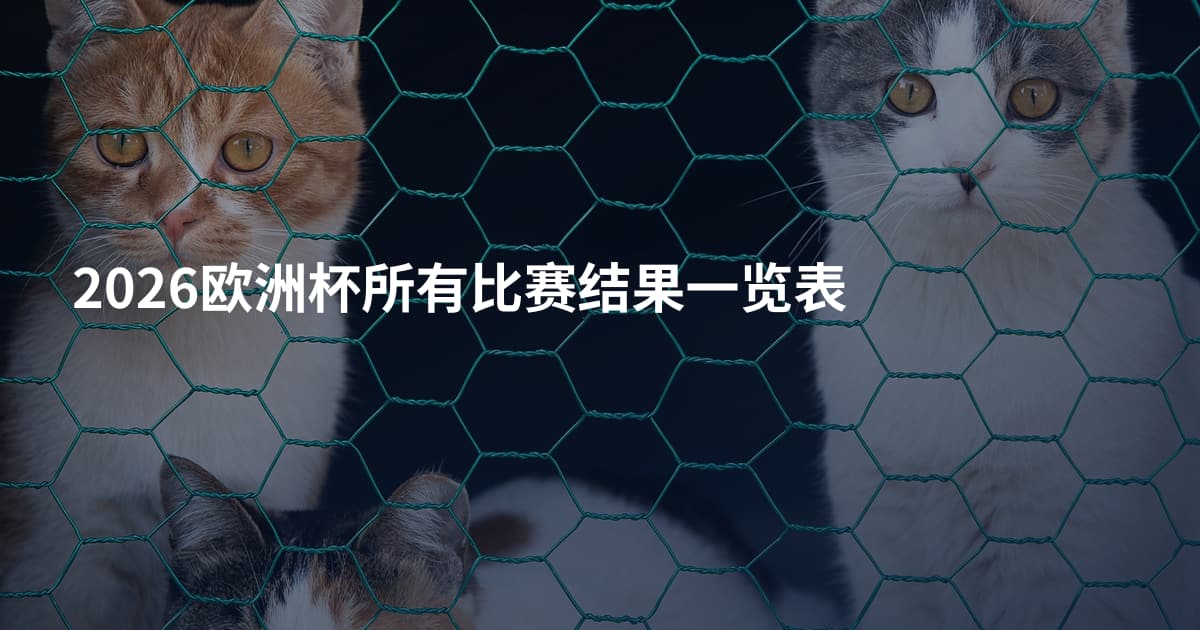 2026欧洲杯所有比赛结果一览表