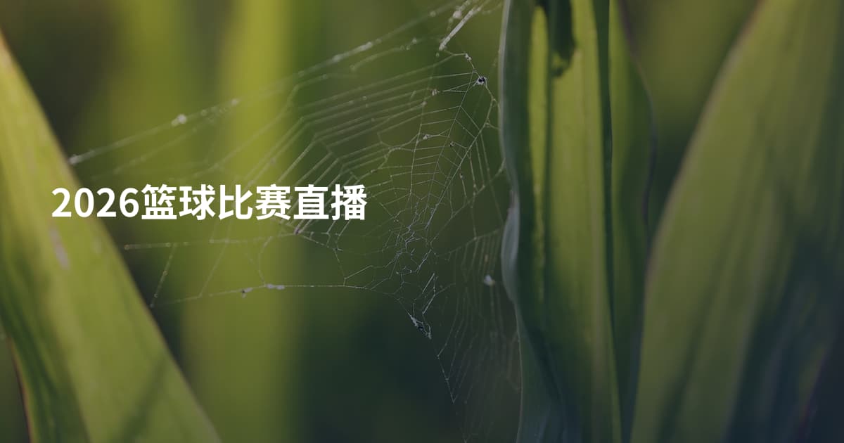 2026篮球比赛直播