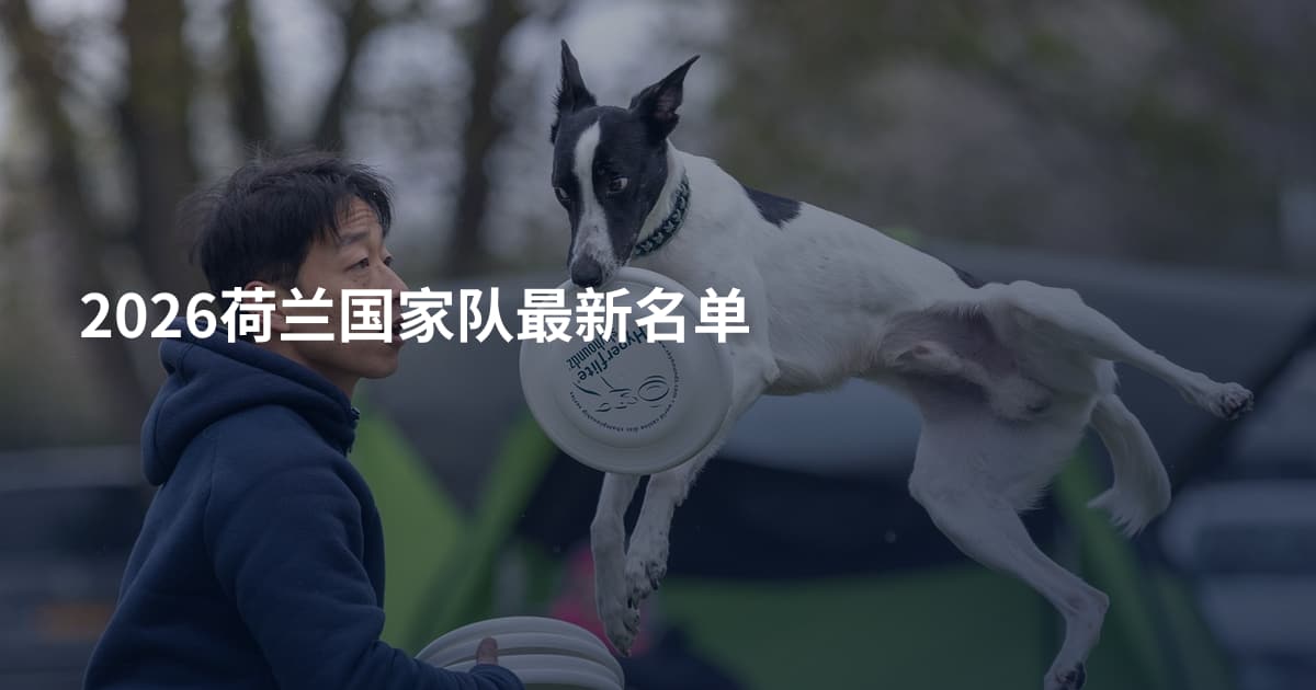 2026荷兰国家队最新名单