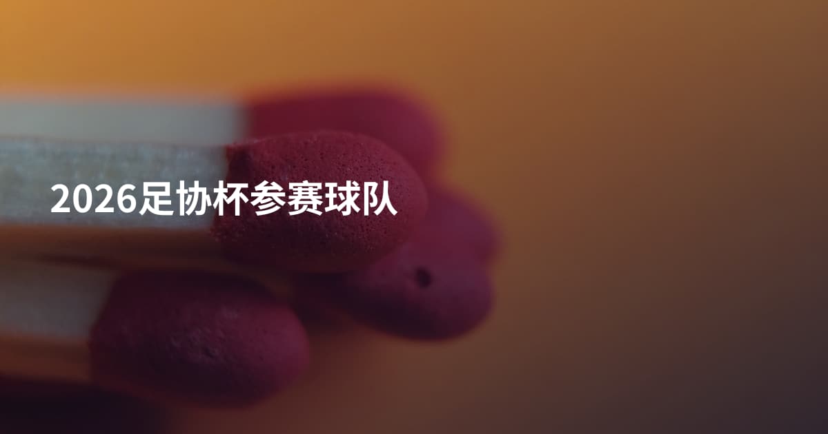 2026足协杯参赛球队