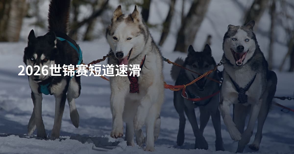 2026世锦赛短道速滑