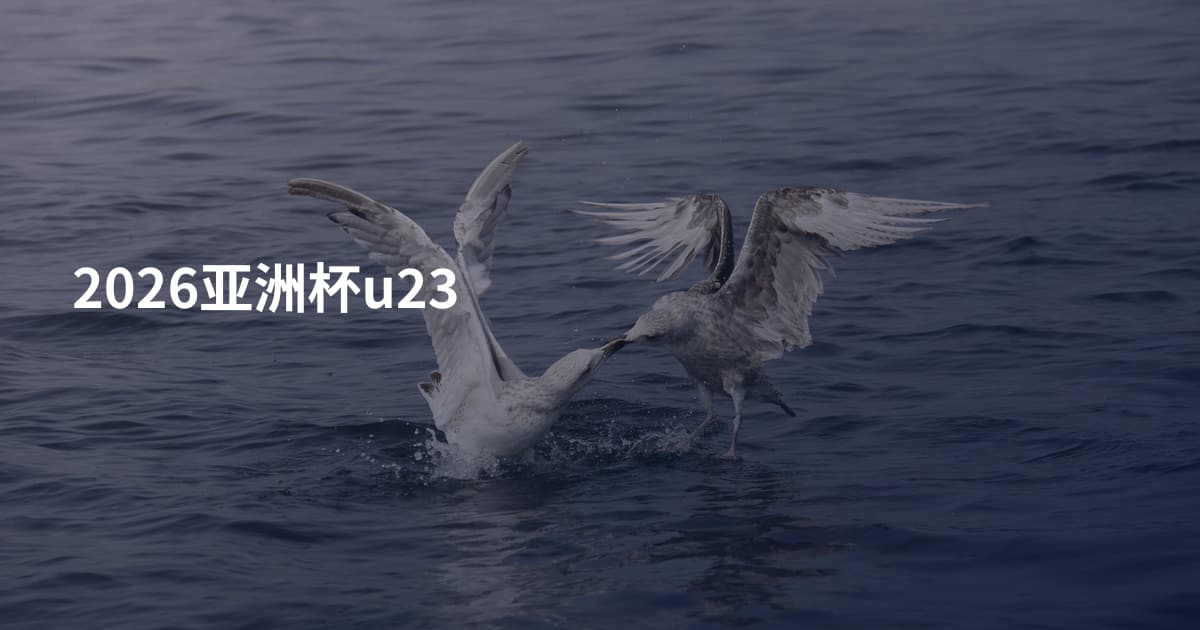 2026亚洲杯u23