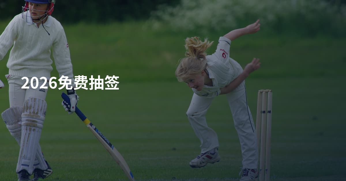 2026免费抽签