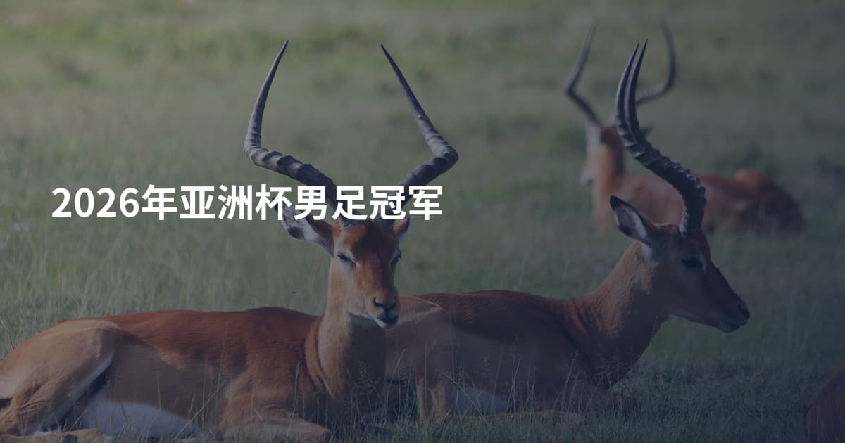2026年亚洲杯男足冠军