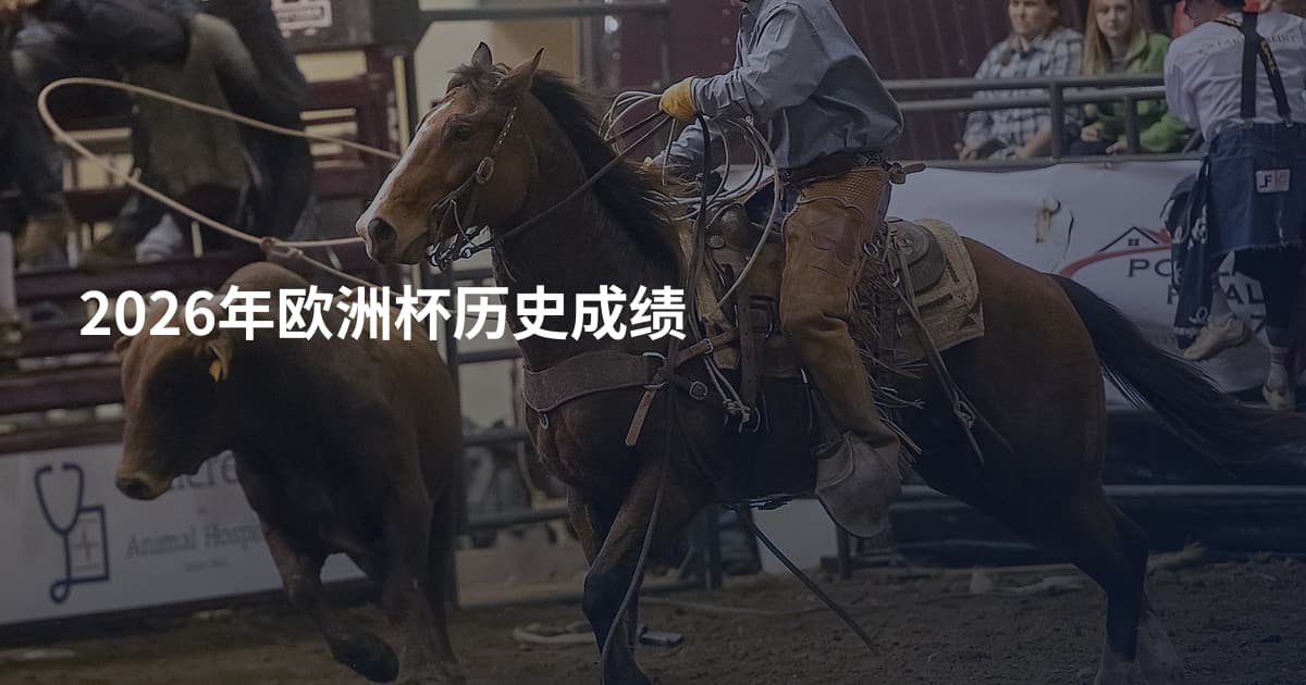 2026年欧洲杯历史成绩