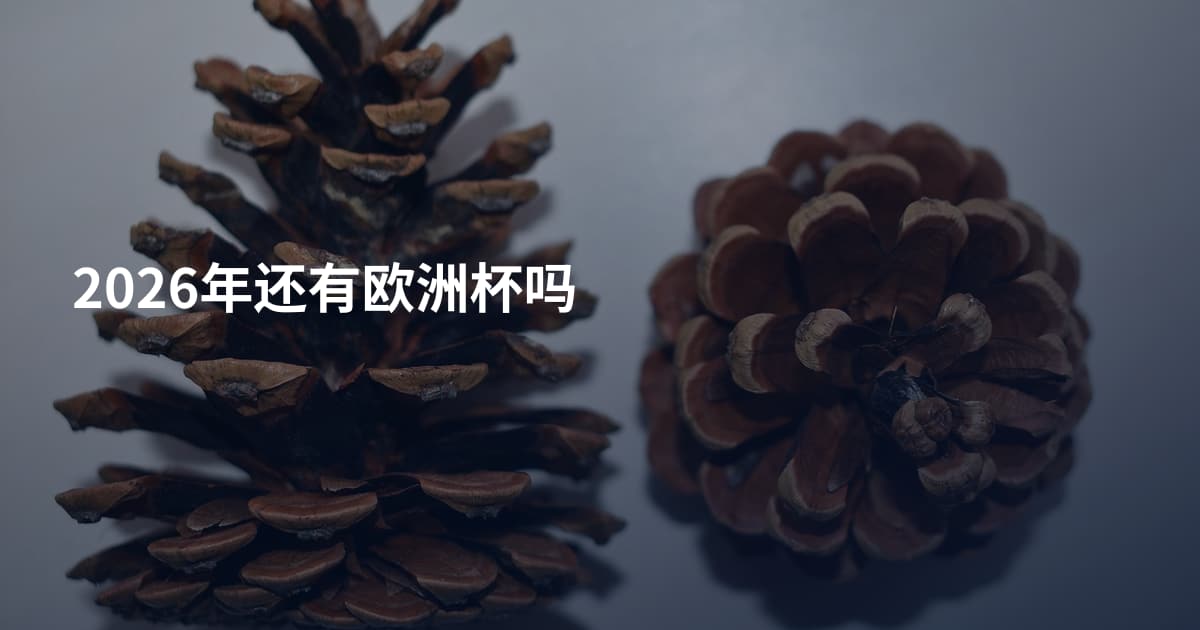 2026年还有欧洲杯吗