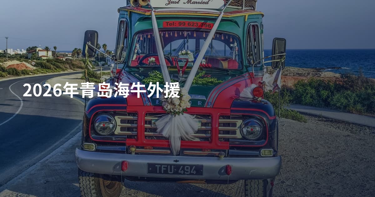 2026年青岛海牛外援