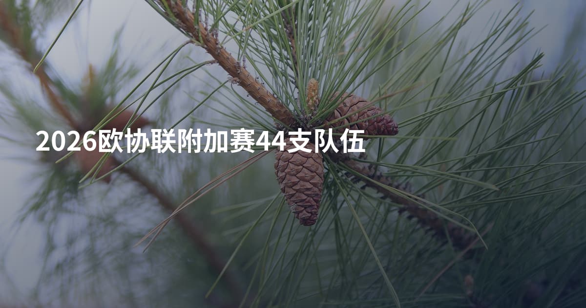 2026欧协联附加赛44支队伍
