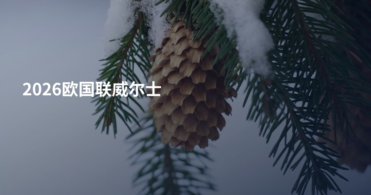 2026欧国联威尔士