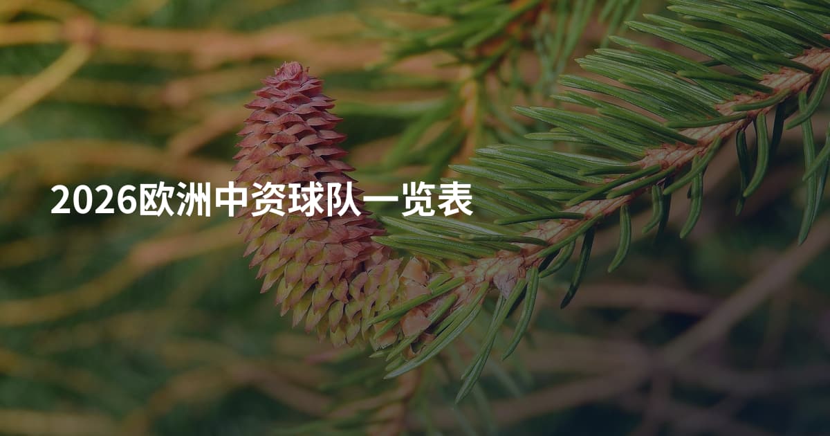 2026欧洲中资球队一览表