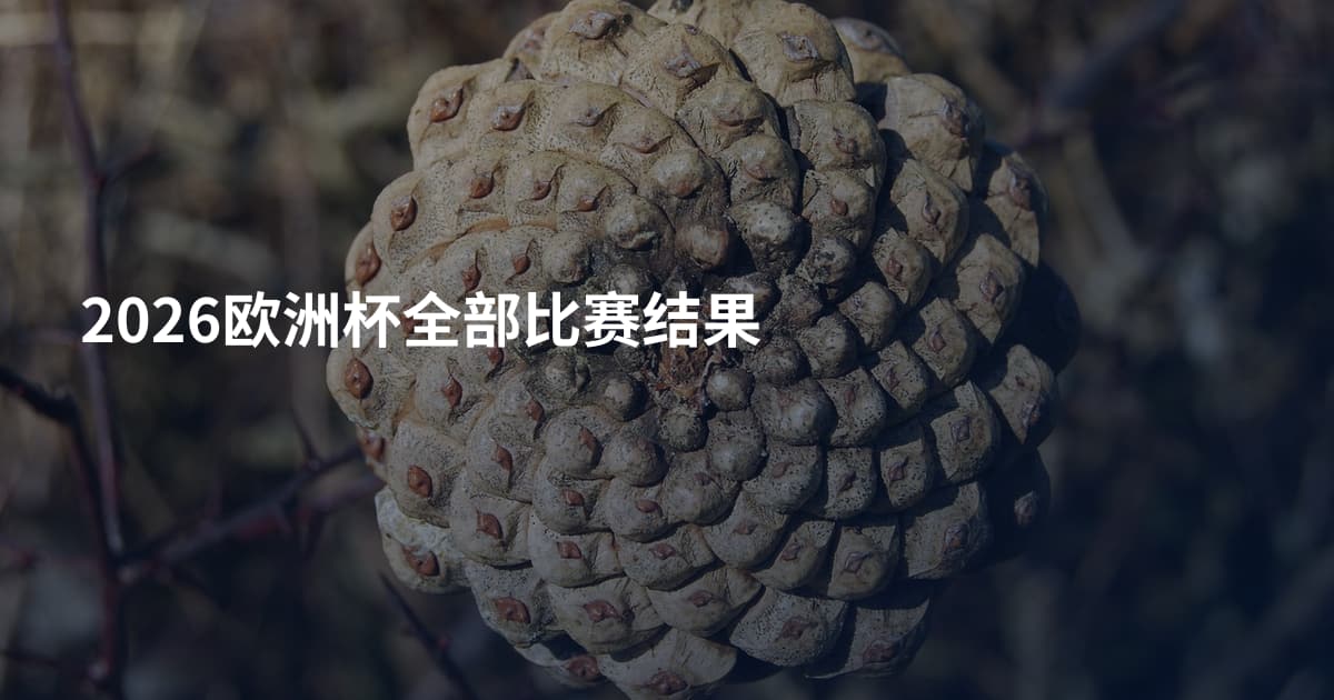 2026欧洲杯全部比赛结果