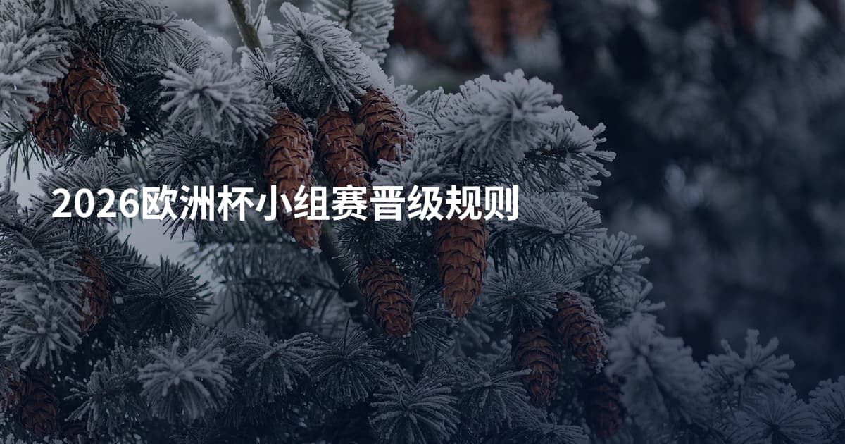 2026欧洲杯小组赛晋级规则