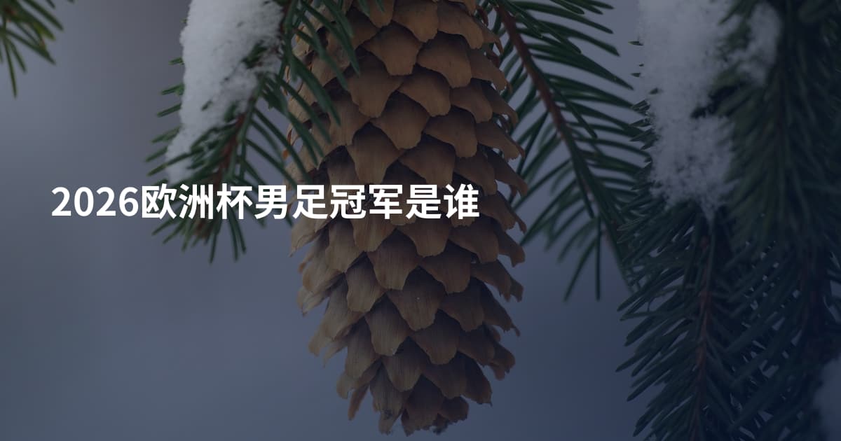 2026欧洲杯男足冠军是谁