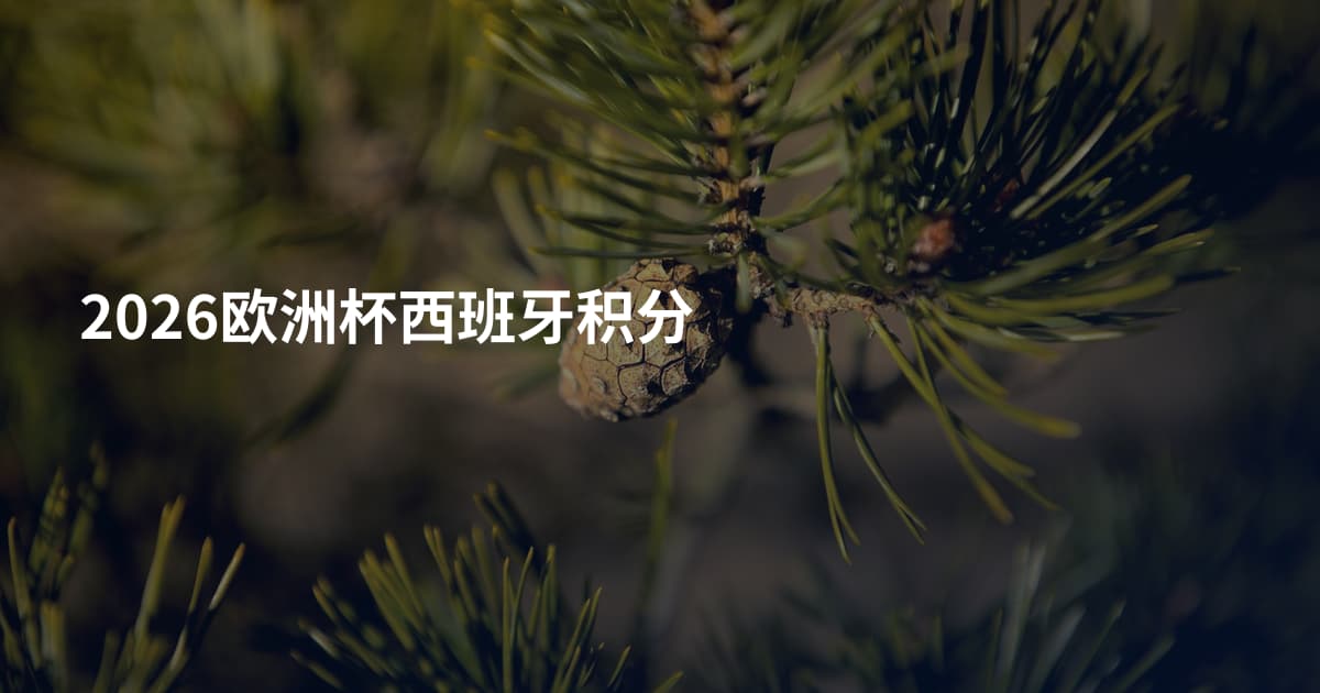 2026欧洲杯西班牙积分
