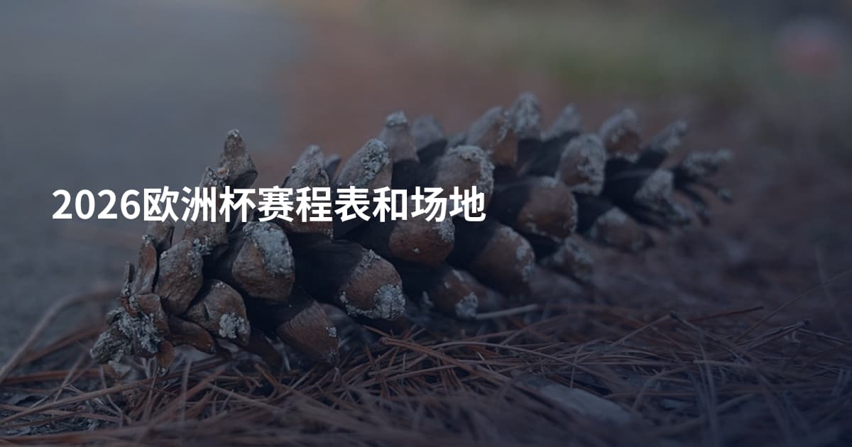 2026欧洲杯赛程表和场地