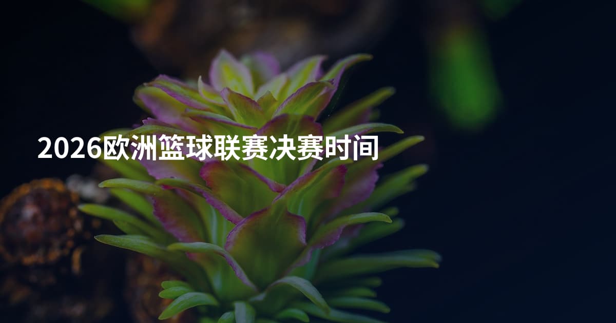 2026欧洲篮球联赛决赛时间