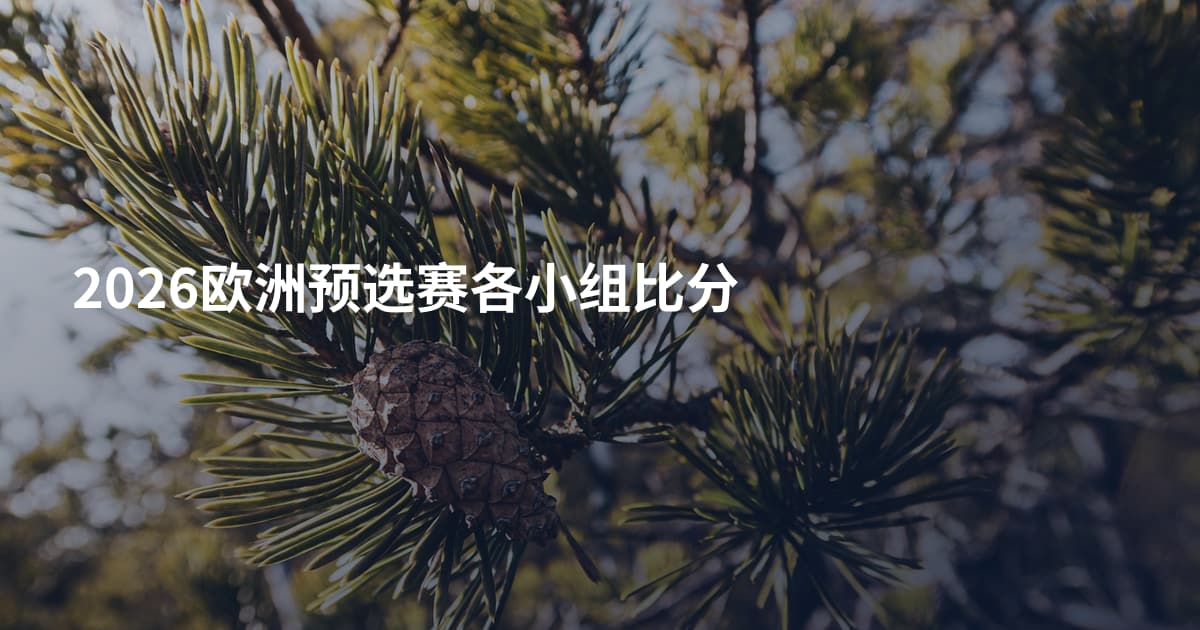 2026欧洲预选赛各小组比分