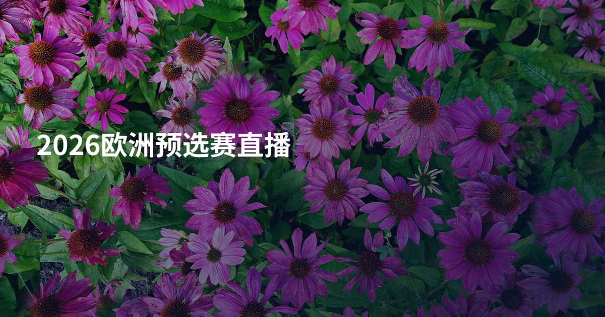 2026欧洲预选赛直播