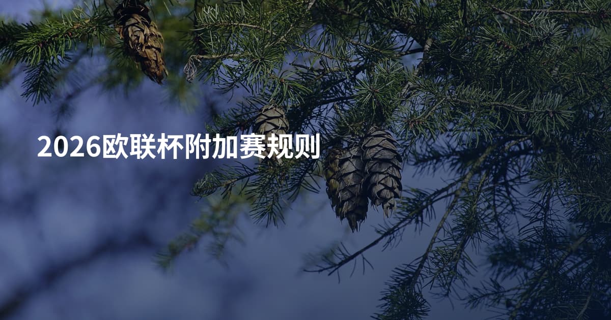 2026欧联杯附加赛规则
