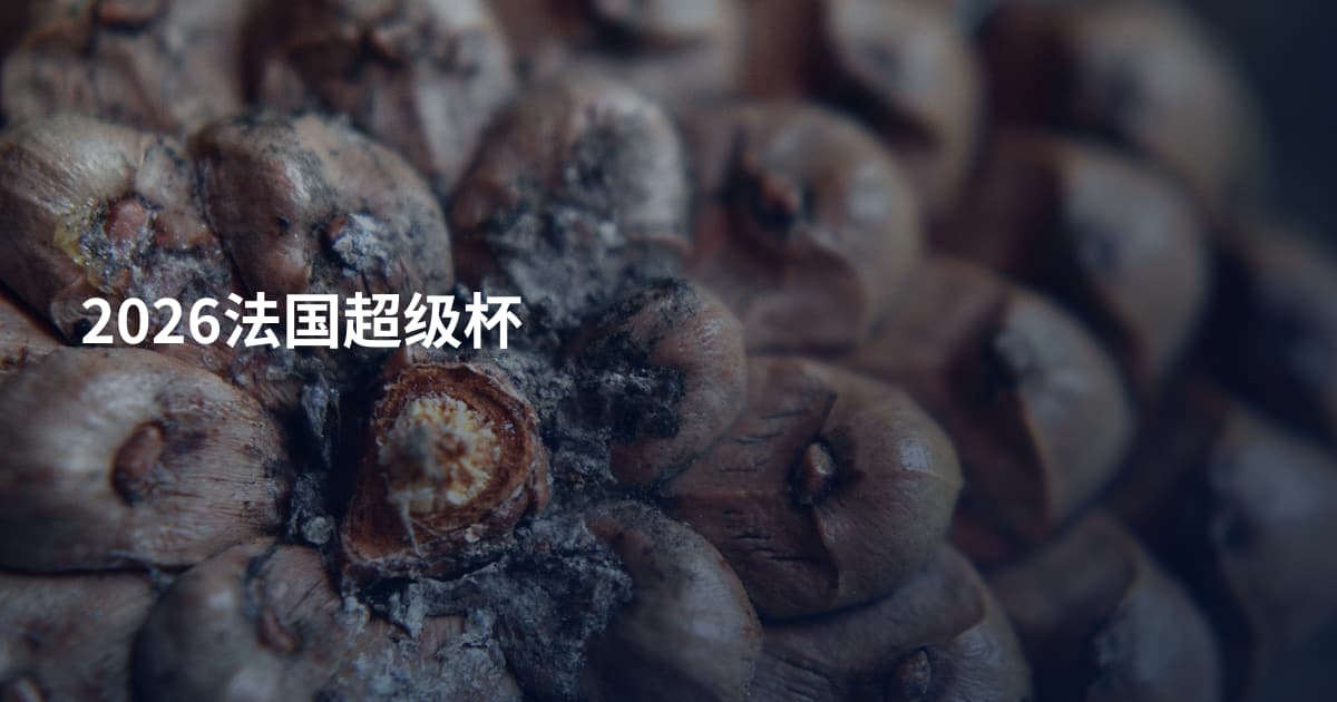 2026法国超级杯