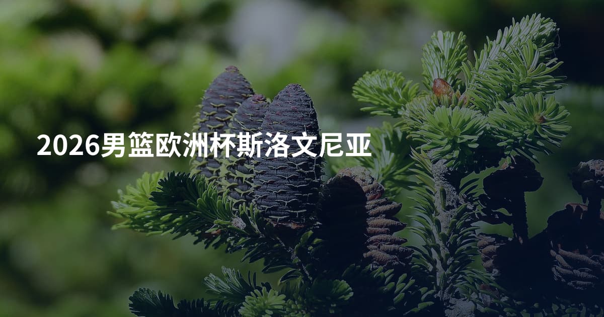 2026男篮欧洲杯斯洛文尼亚