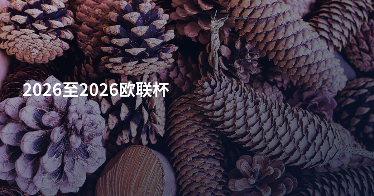 2026至2026欧联杯