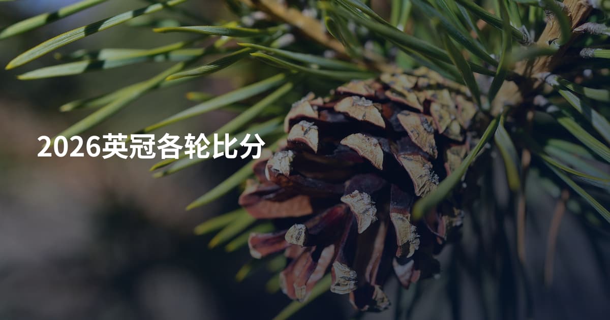 2026英冠各轮比分