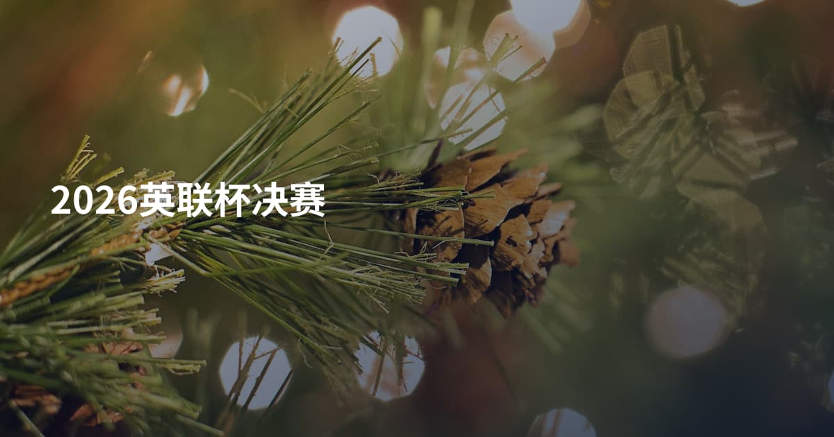 2026英联杯决赛