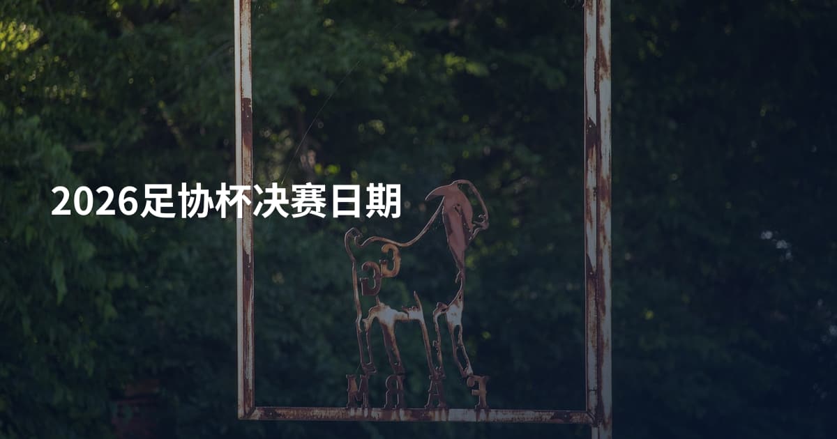 2026足协杯决赛日期