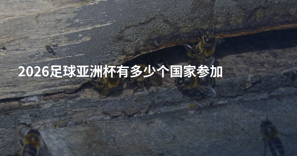 2026足球亚洲杯有多少个国家参加