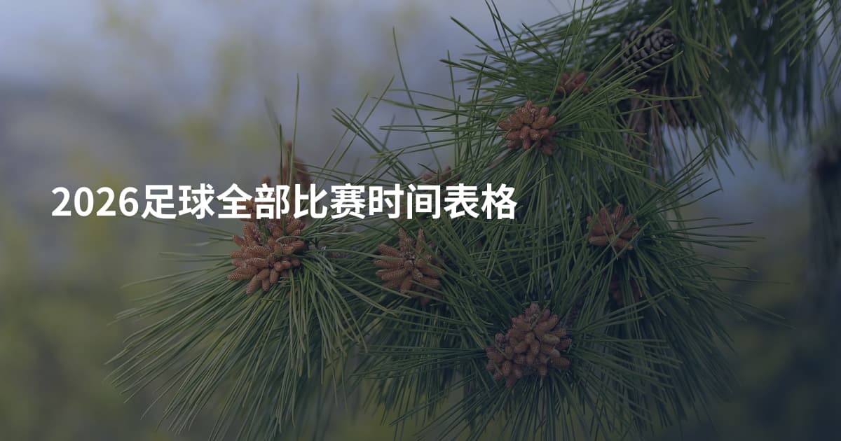 2026足球全部比赛时间表格