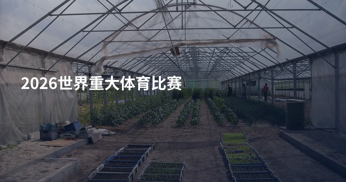 2026世界重大体育比赛