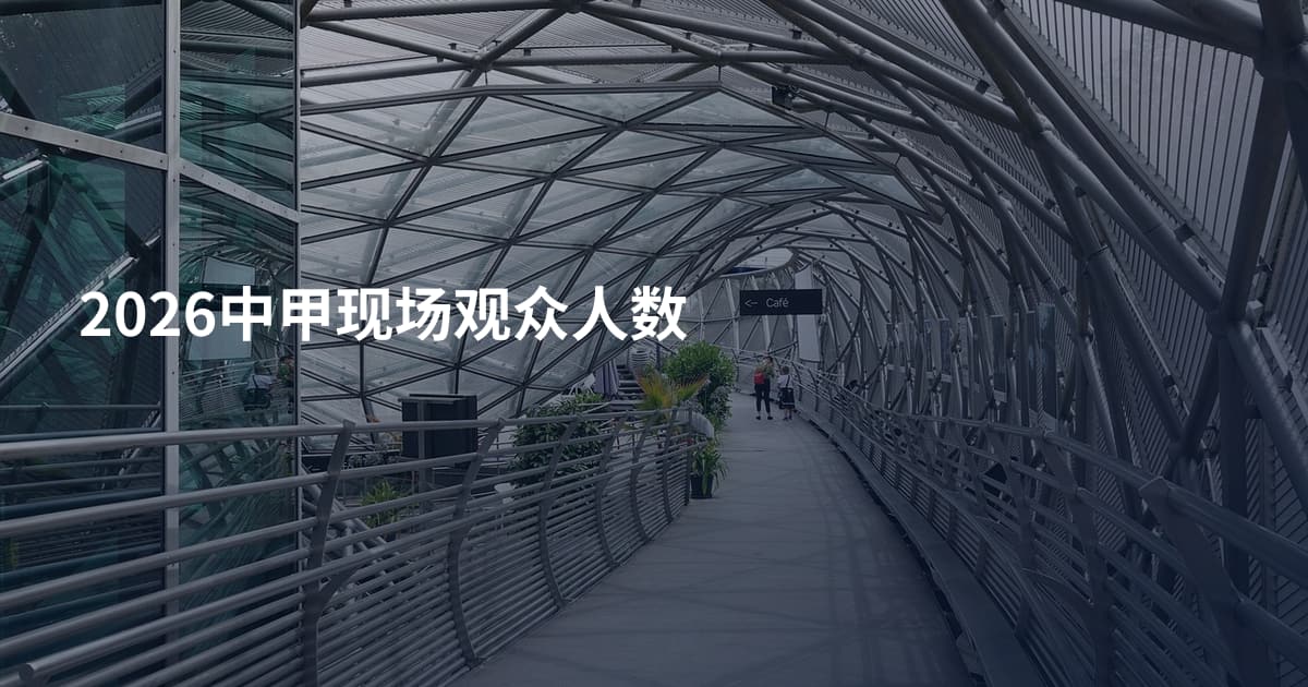 2026中甲现场观众人数