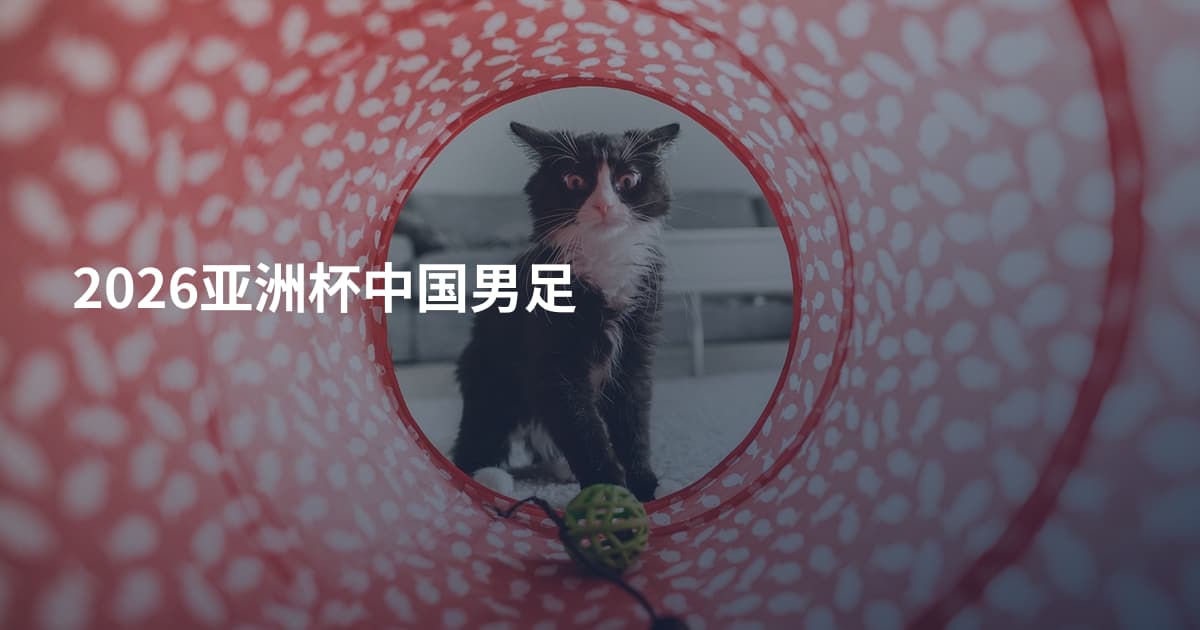 2026亚洲杯中国男足