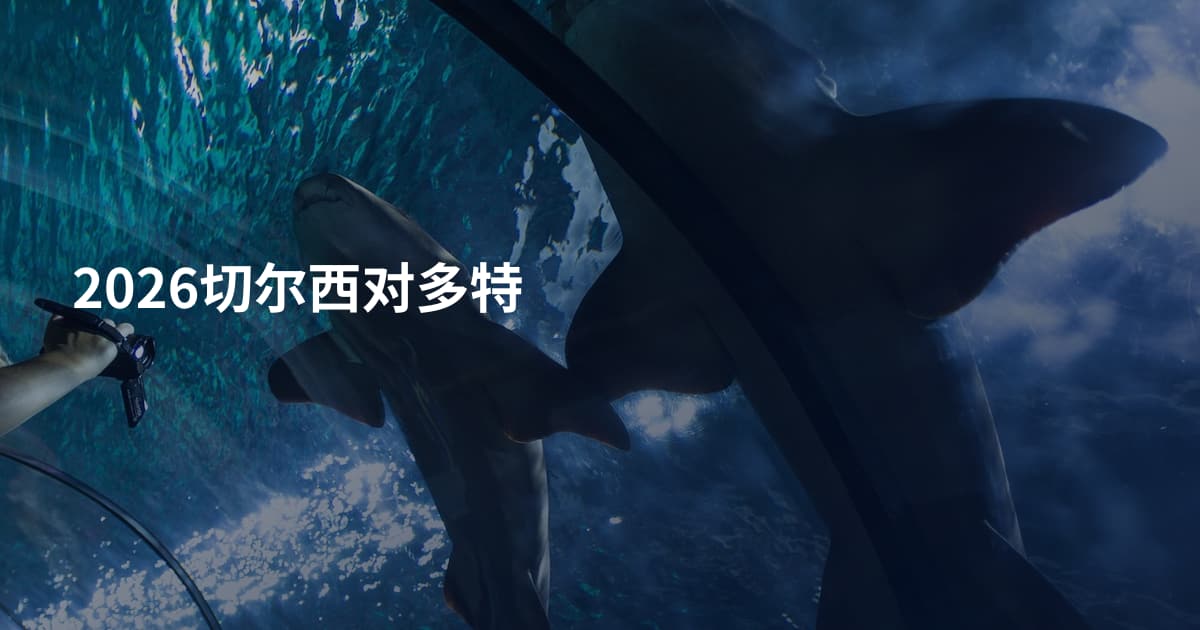 2026切尔西对多特