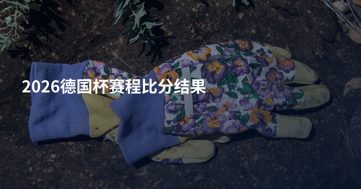 2026德国杯赛程比分结果