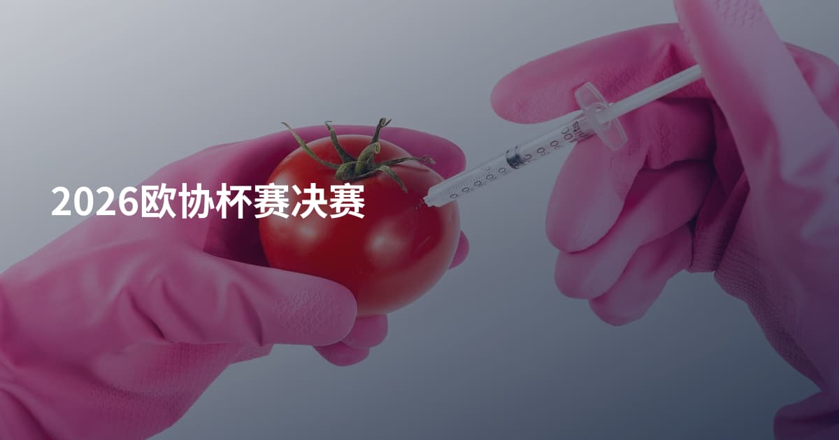 2026欧协杯赛决赛