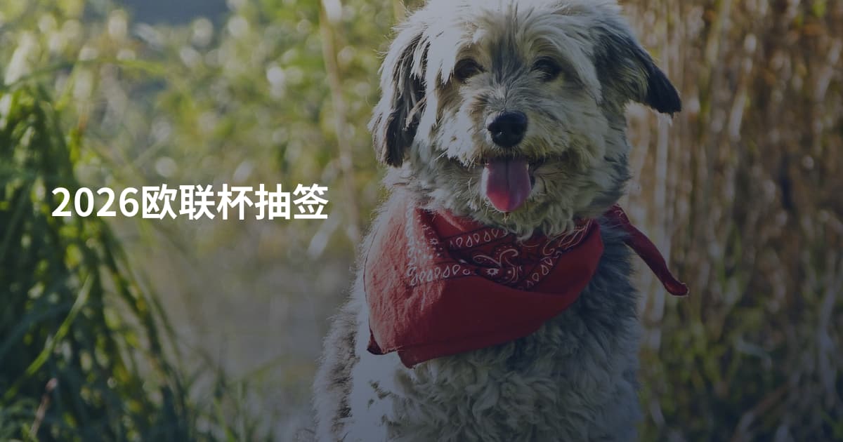 2026欧联杯抽签