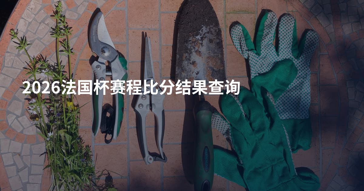 2026法国杯赛程比分结果查询