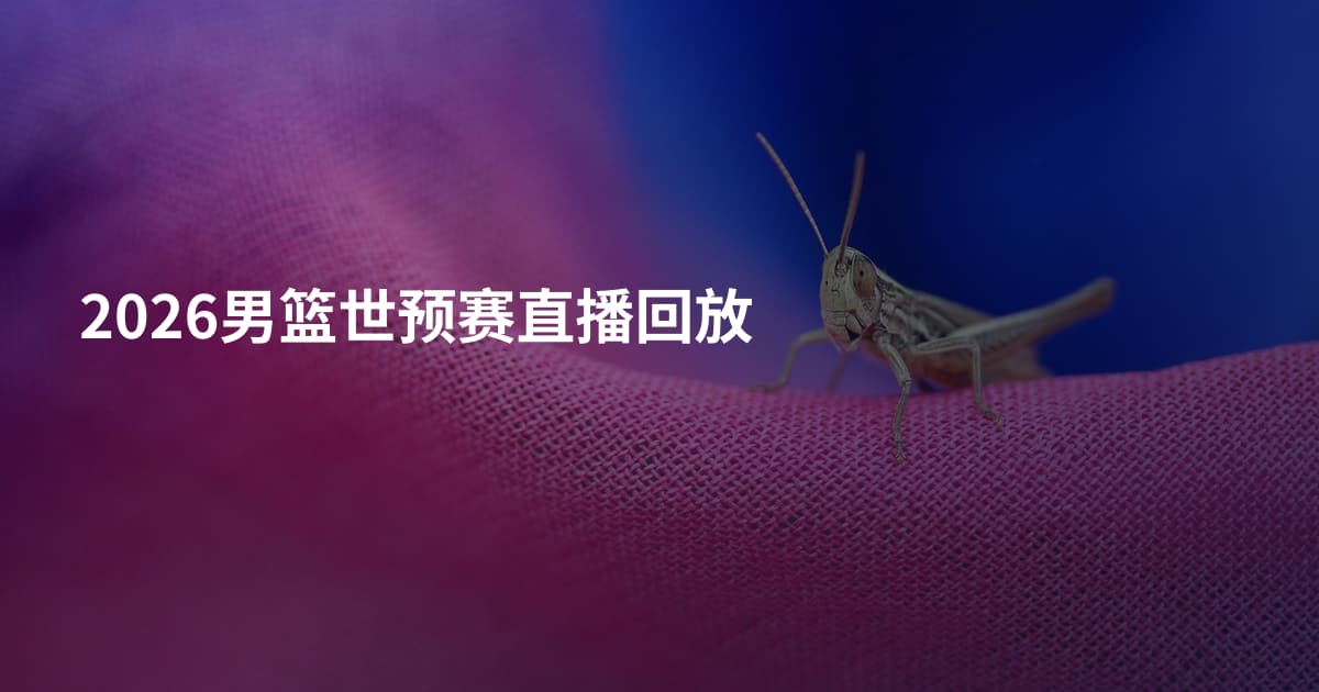 2026男篮世预赛直播回放