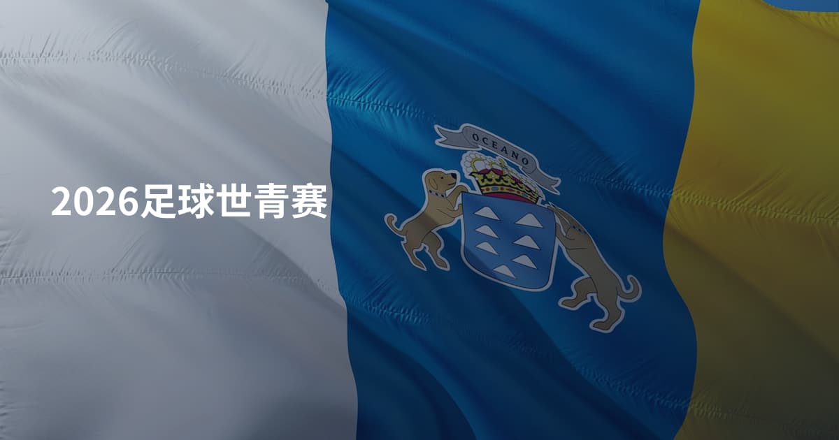 2026足球世青赛