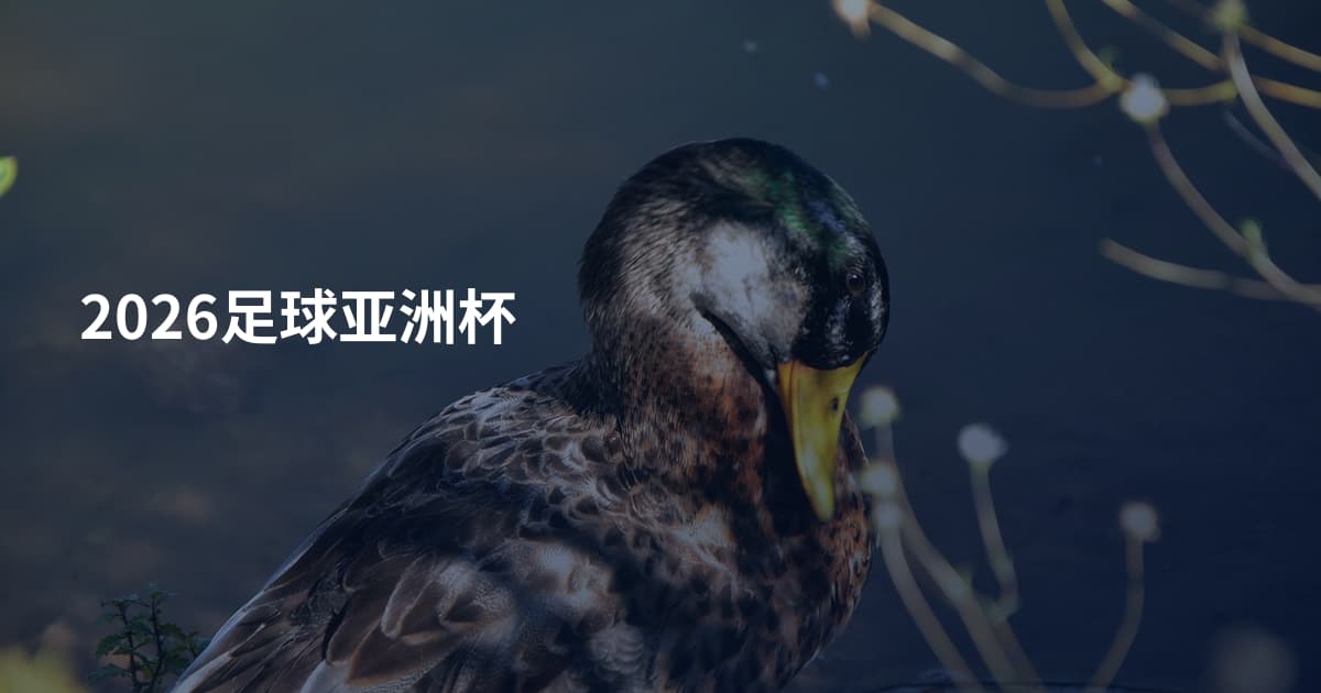 2026足球亚洲杯