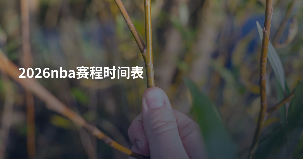 2026nba赛程时间表