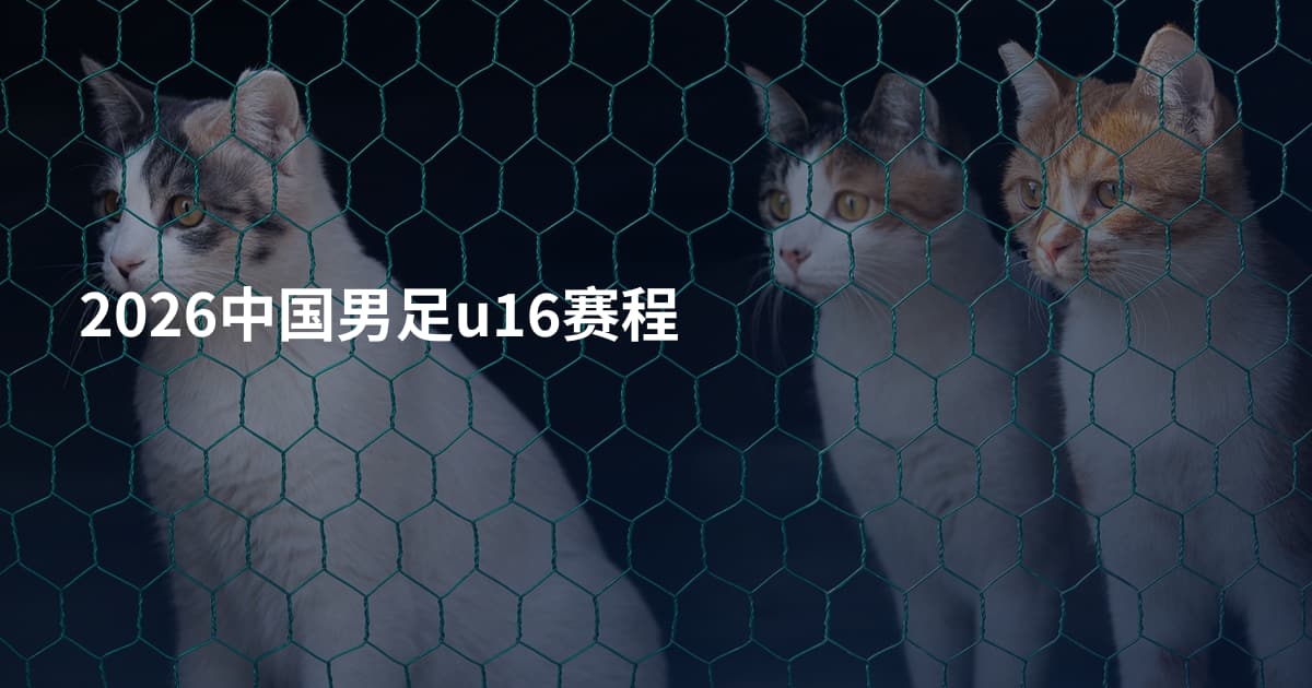 2026中国男足u16赛程