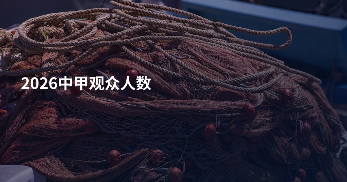 2026中甲观众人数