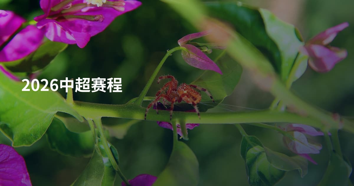 2026中超赛程